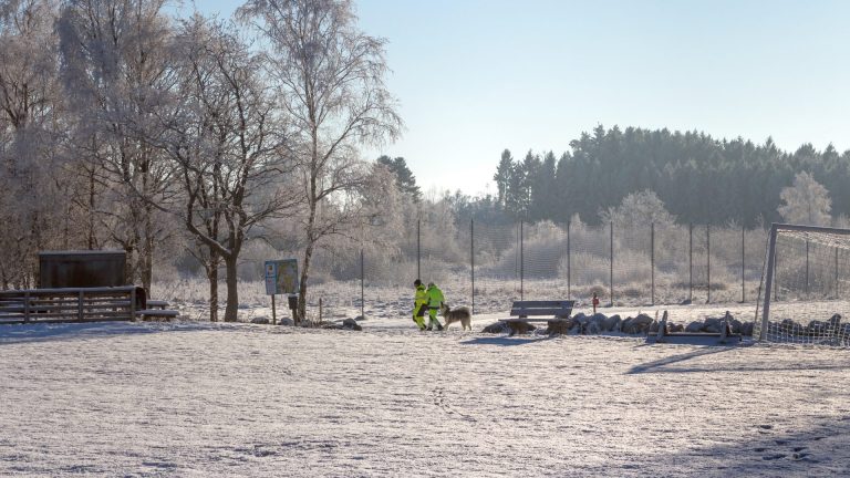 Frost-covered field and trees on a bitterly cold morning