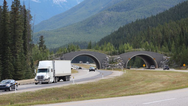 Semi-trailer truck on the Trans-Canada Highway near Banff, with a wildlife overpass behind